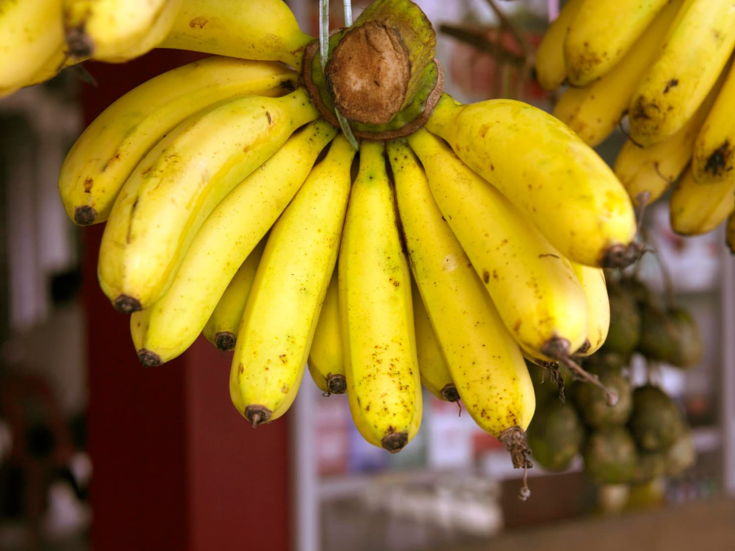 Banana